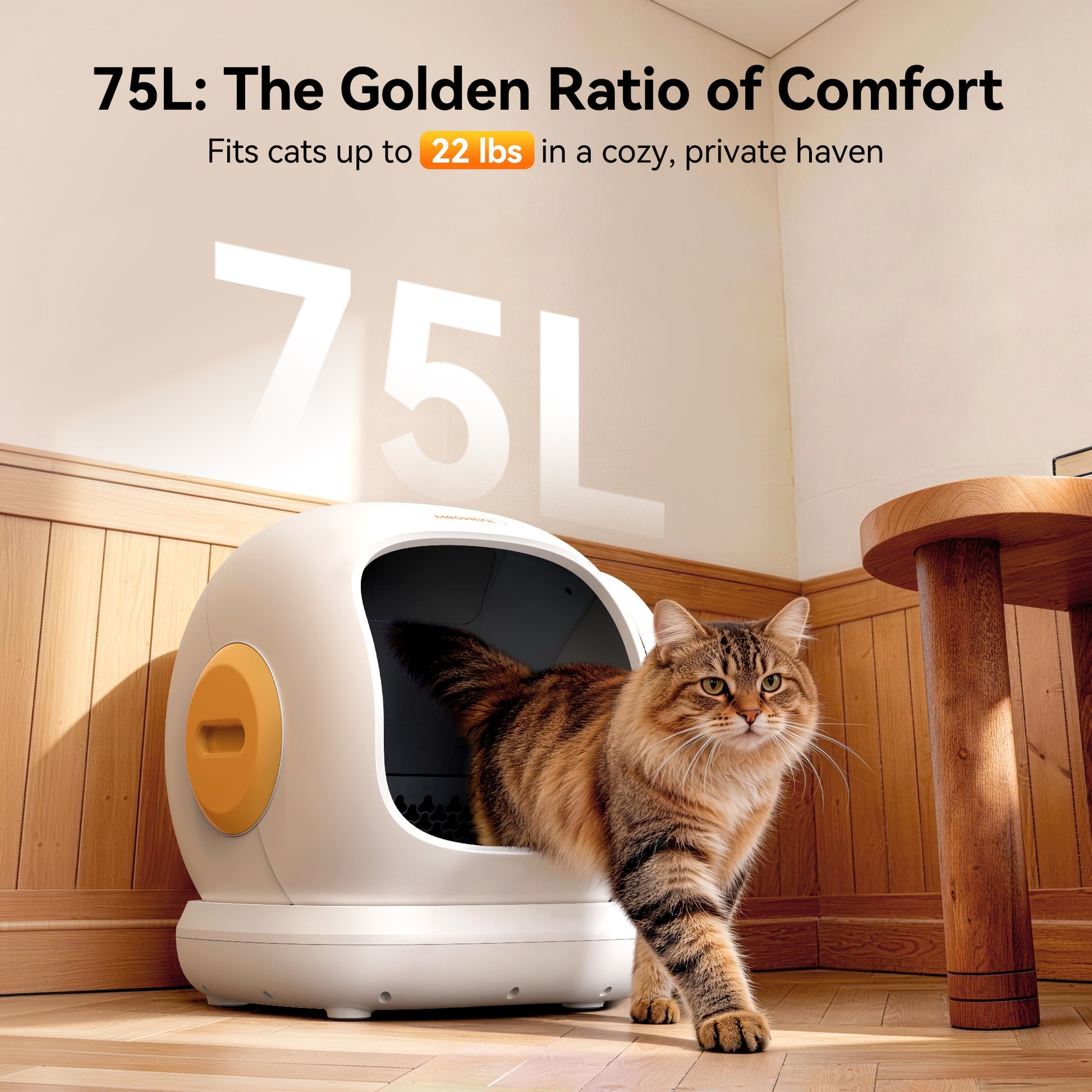 Zivii Kitty Litter Box Product Page Design Specification
