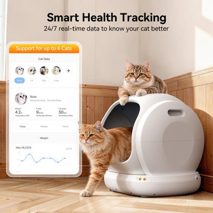 Zivii Kitty Litter Box Product Page Design Specification